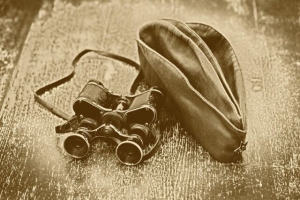 Территория РСФСР освобождена от немецко-фашистских захватчиков