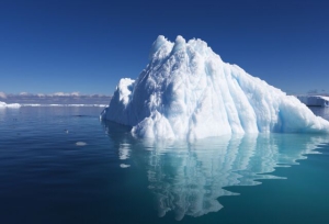 В Гамбурге открылась первая Международная полярная конференция