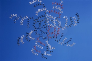 Поставлен рекорд в воздушной акробатике - 357 парашютистов построили формацию