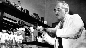 Зельман Ваксман открыл стрептомицин