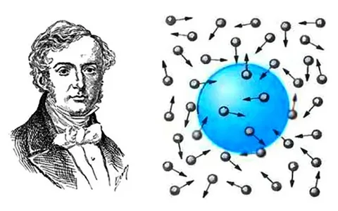 Английский ботаник Роберт Броун описывает явление броуновского движени