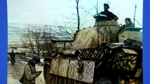 Началась операция «Весеннее пробуждение»