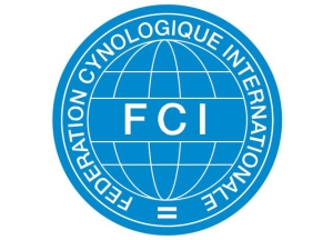 Основана Международная федерация кинологов