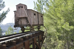 Международный день памяти жертв актов насилия на основе религии или убеждений