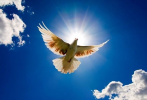 Международный день мира