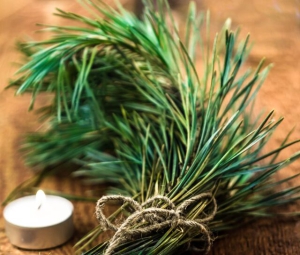 Праздник Зерван-Карана