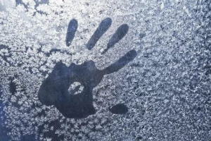 День странных силуэтов на стекле