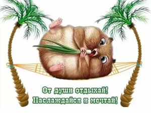 День отдыха от отпуска