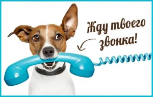 День звонков бывшим