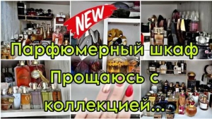 День появления в шкафу новых духов