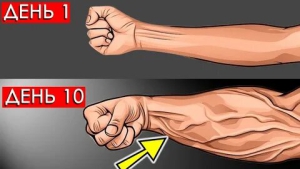 День проверки наличия мышц на руках