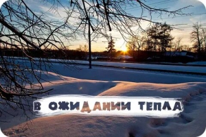 День ожидания скорейшего потепления