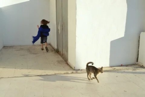 День прогулок за углом