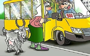 День подмигивания водителю автобуса