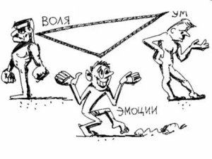 День абсолютной потери самообладания