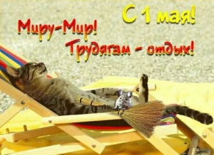 День, когда мы отдыхаем от любимой работы