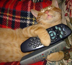 День поиска ТВ-пульта в постели