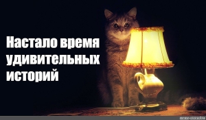 День невероятных историй