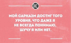 День сарказма