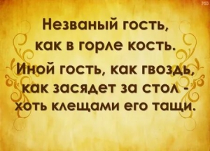 День незванного гостя