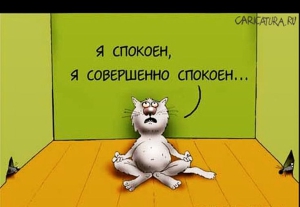 День абсолютного спокойствия