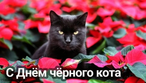 День черного кота