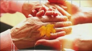 День почтения