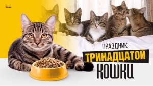 Праздник тринадцатой кошки