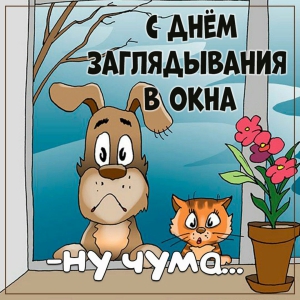 День заглядывания в окна