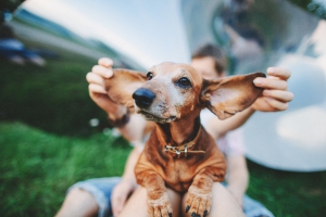 День ухотрепальщиков