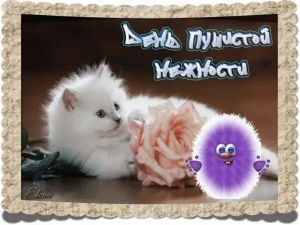 День пушистой нежности