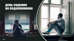 День сидения на подоконниках