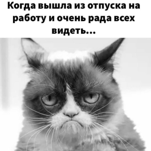 День, когда тебе все рады