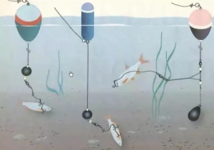 День ловли на живца