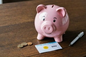 День копилки