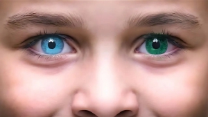 День людей с разным цветом глаз