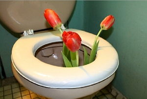 День чистых унитазов