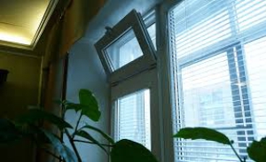 День открытой форточки