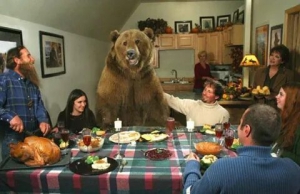 День вечеринки со своим медведем