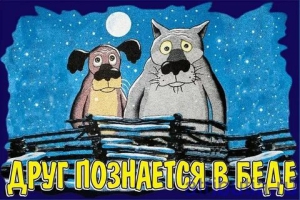 День помощи другу в беде