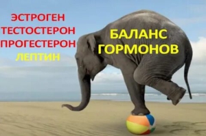 День гормона (Германия)