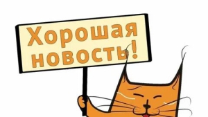 День хороших новостей