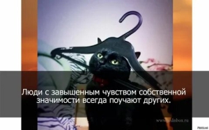 День провозглашения собственной значимости