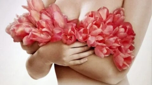 День красивой женской груди