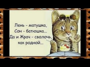 День придумывания оправданий своей лени