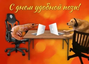 День удобной позы