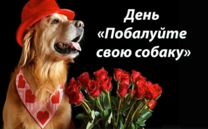 День «Побалуйте свою собаку»
