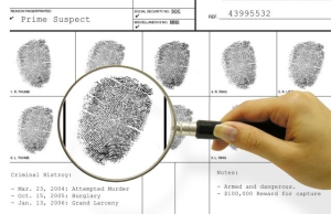 День работников следственных органов МВД России