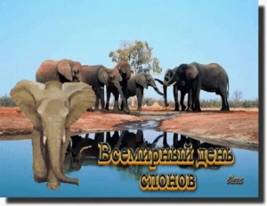 Всемирный день слона (международный)