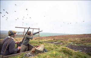 Славное двенадцатое – начало охоты на куропаток (Великобритания)